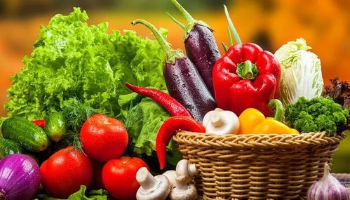 垃圾分類新潮流 苗木廢棄物如何處理？生活垃圾分類實(shí)用小妙招