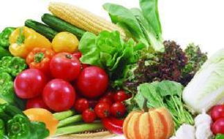 山西科普惠農(nóng)特色優(yōu)質(zhì)農(nóng)產(chǎn)品展銷會(huì)盛大開(kāi)幕，花卉產(chǎn)業(yè)綻放異彩